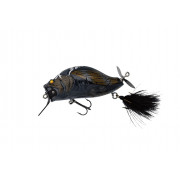 Zacrawl SC - Black Cicada